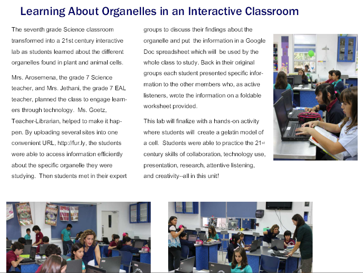 7th Grade Science Organelle Research